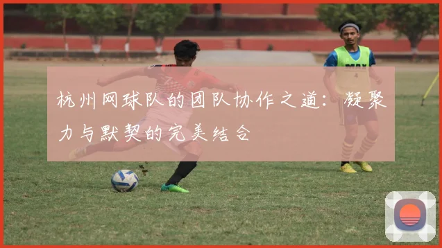 杭州网球队的团队协作之道:凝聚力与默契的完美结合